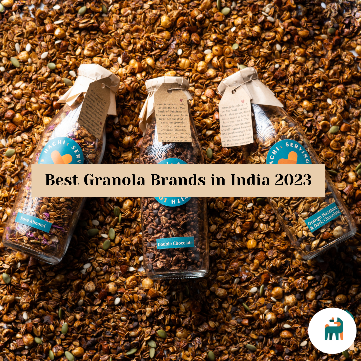 Best Granola Brands in India 2023